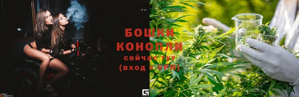 ГАЛЛЮЦИНОГЕННЫЕ ГРИБЫ Баксан