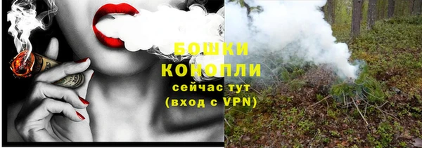 ГАЛЛЮЦИНОГЕННЫЕ ГРИБЫ Баксан