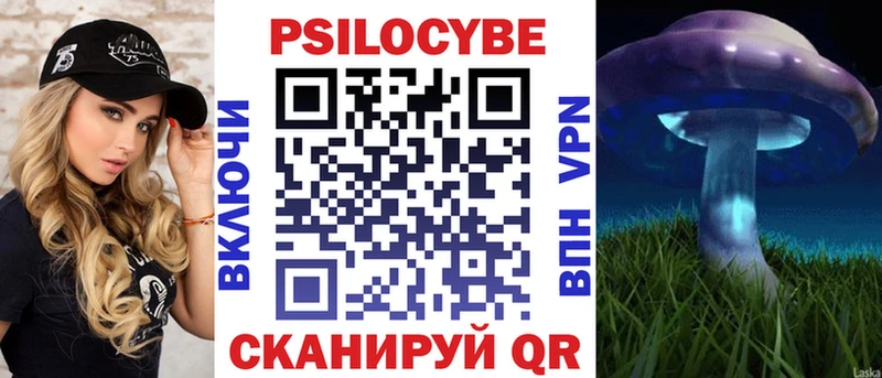 Псилоцибиновые грибы мицелий  kraken сайт  мориарти Telegram  Юрьевец 
